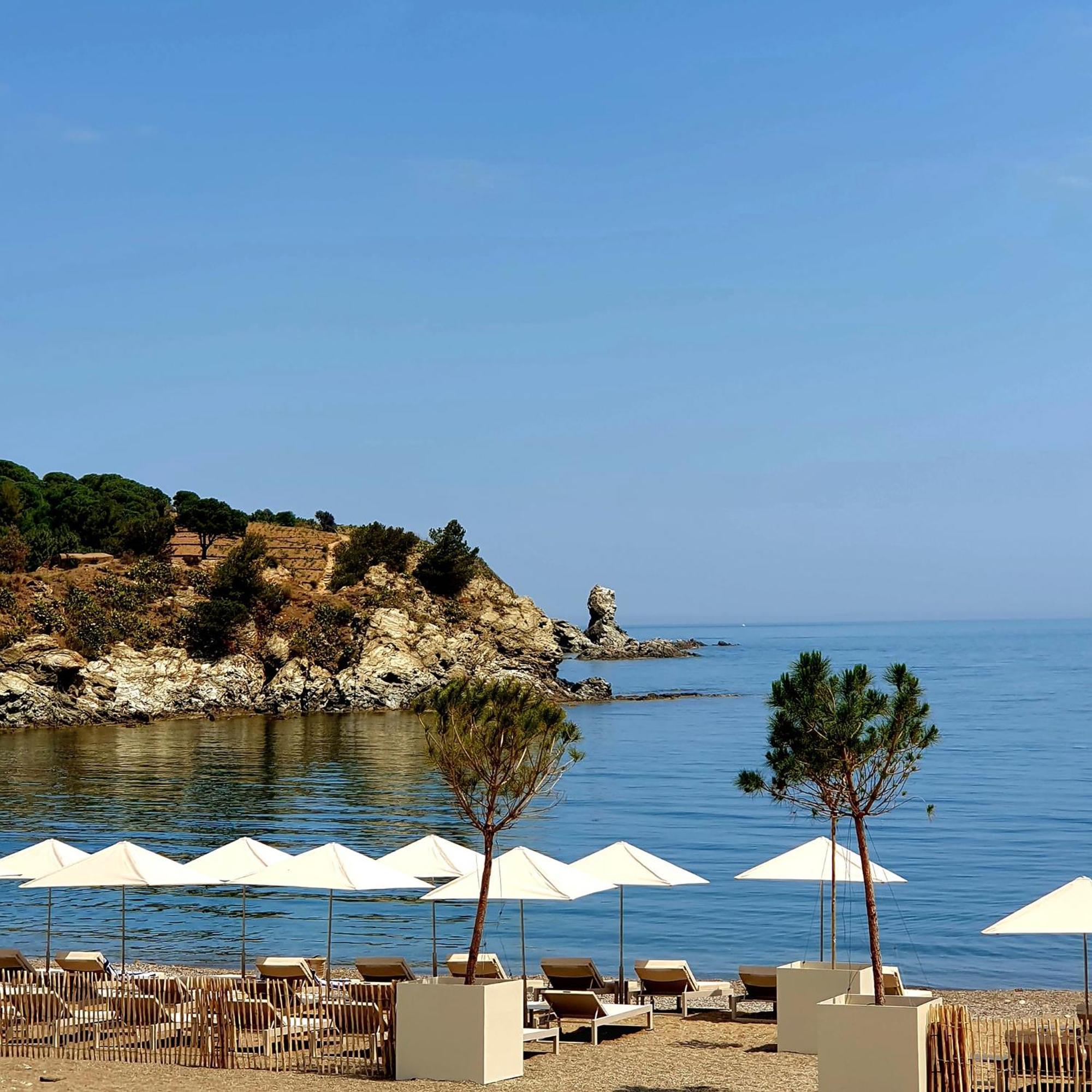 Face A La Mer Residence Les Elmes バニュルス・シュル・メール エクステリア 写真